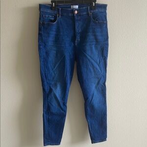 LOFT Deep Blue Skinny Jeans